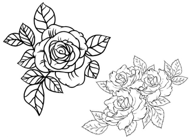 玫瑰花素描教程，讓你輕松學會玫瑰花的繪畫技法